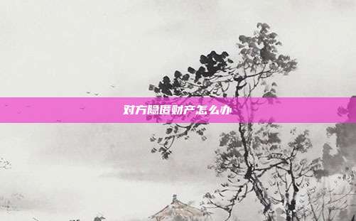 对方隐匿财产怎么办