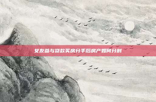 女友参与贷款买房分手后房产如何分割