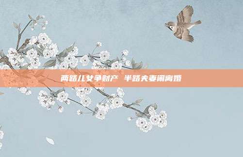 两路儿女争财产 半路夫妻闹离婚