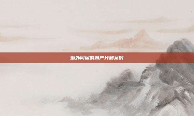 婚外同居的财产分割案例