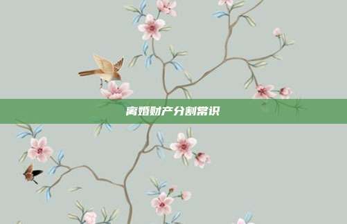 离婚财产分割常识