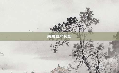 离婚财产纠纷