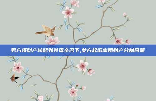 男方将财产转移到其母亲名下,女方起诉离婚财产分割问题
