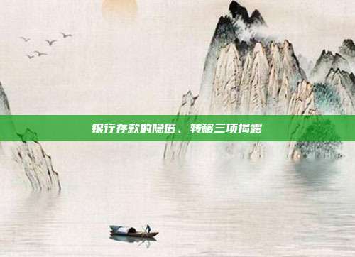 银行存款的隐匿、转移三项揭露