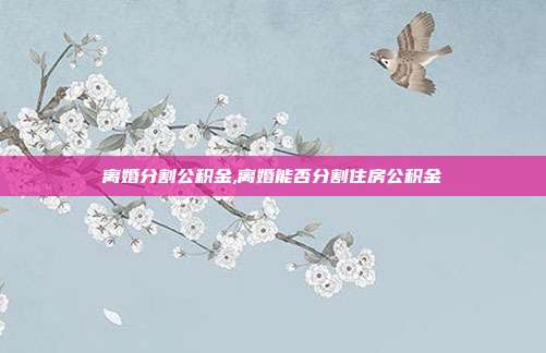 离婚分割公积金,离婚能否分割住房公积金