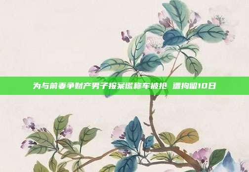 为与前妻争财产男子报案谎称车被抢 遭拘留10日