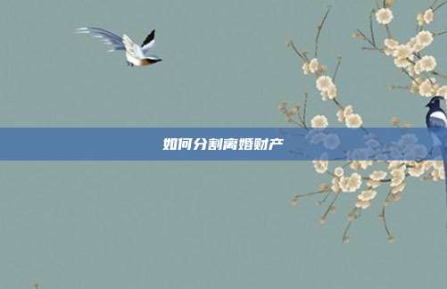 如何分割离婚财产