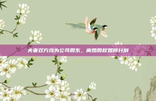 夫妻双方均为公司股东,离婚股权如何分割