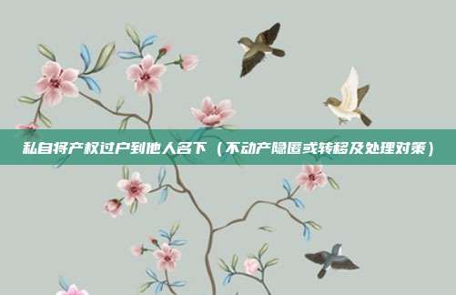 私自将产权过户到他人名下(不动产隐匿或转移及处理对策)