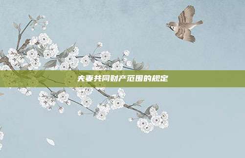 夫妻共同财产范围的规定