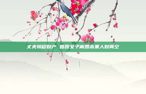 丈夫转移财产 固原女子离婚未果人财两空