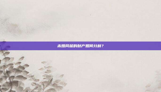 未婚同居的财产如何分割?