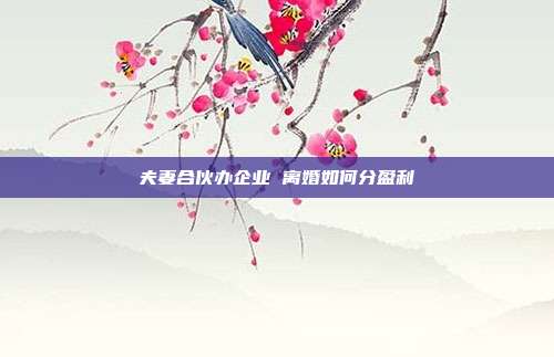 夫妻合伙办企业 离婚如何分盈利