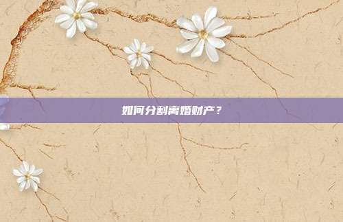 如何分割离婚财产?