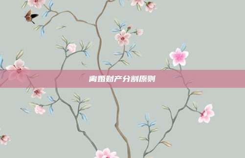 离婚财产分割原则