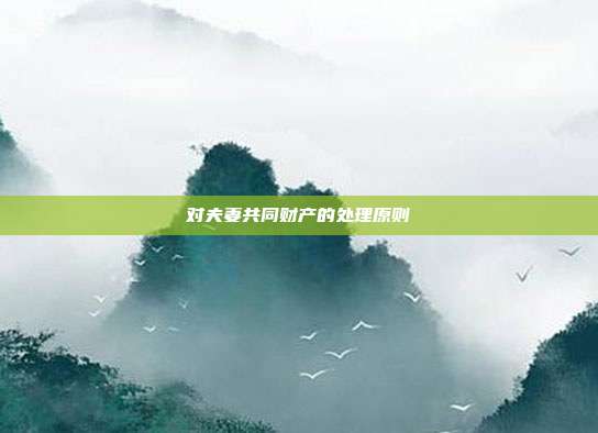 对夫妻共同财产的处理原则