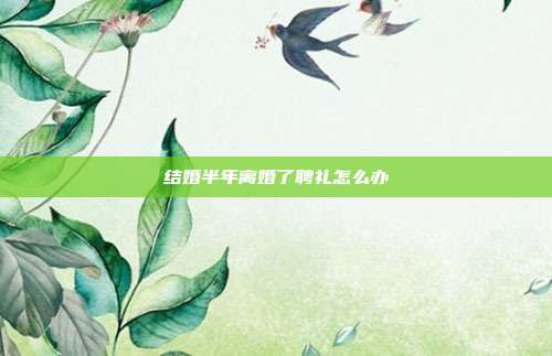 结婚半年离婚了聘礼怎么办