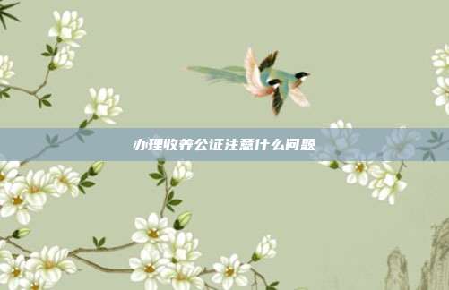 办理收养公证注意什么问题