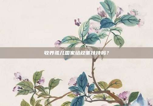 收养孤儿国家给政策扶持吗?