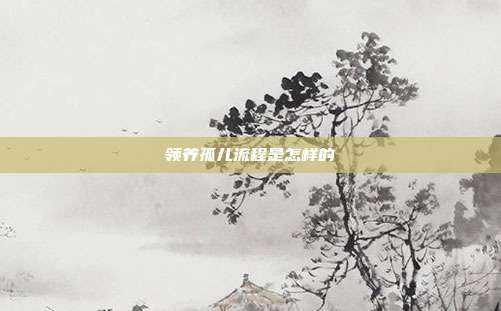 领养孤儿流程是怎样的