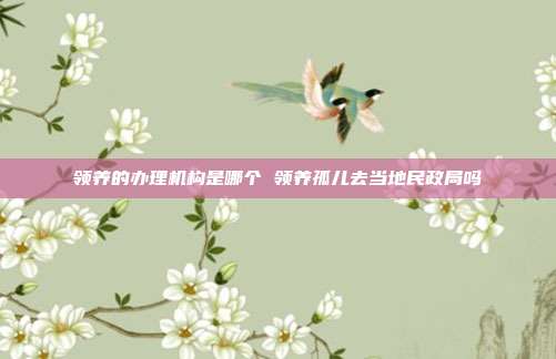 领养的办理机构是哪个 领养孤儿去当地民政局吗