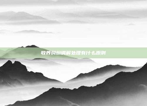 收养纠纷调解处理有什么原则