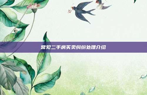 常见二手房买卖纠纷处理介绍