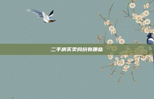 二手房买卖纠纷有哪些