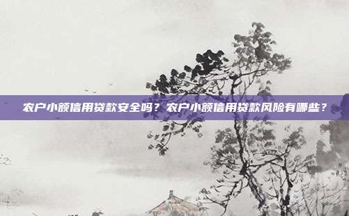 农户小额信用贷款安全吗?农户小额信用贷款风险有哪些?