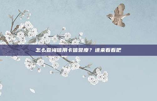 怎么查询信用卡信誉度?进来看看吧