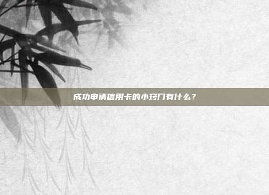 成功申请信用卡的小窍门有什么?