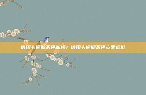 信用卡逾期不还新规?信用卡逾期不还立案标准