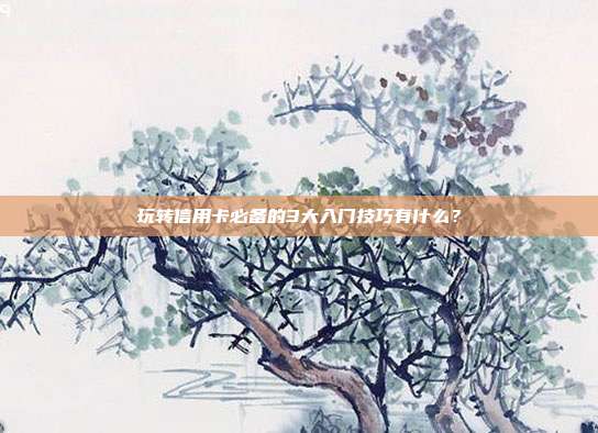 玩转信用卡必备的3大入门技巧有什么?