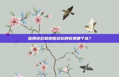 信用贷款和担保贷款的收费哪个高?