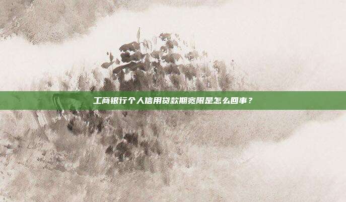 工商银行个人信用贷款期宽限是怎么回事？
