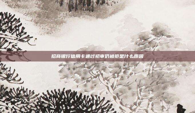 招商银行信用卡通过初审仍被拒是什么原因