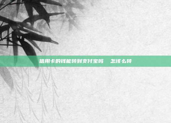 信用卡的钱能转到支付宝吗 怎该么转