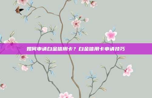 如何申请白金信用卡?白金信用卡申请技巧