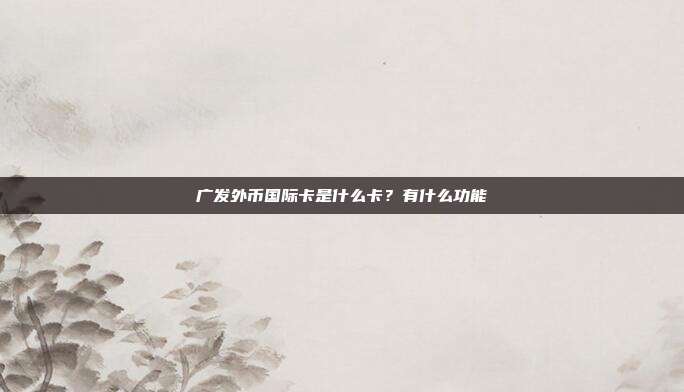 广发外币国际卡是什么卡？有什么功能