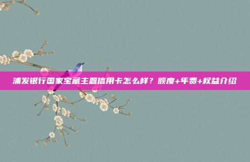 浦发银行国家宝藏主题信用卡怎么样？额度+年费+权益介绍