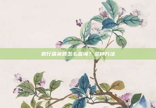农行查余额怎么查询?多种方法