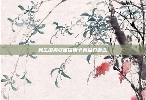 民生国美联名信用卡权益有哪些