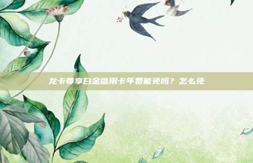 龙卡尊享白金信用卡年费能免吗?怎么免