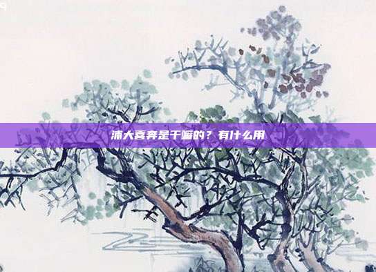 浦大喜奔是干嘛的？有什么用