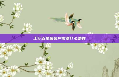 工行五星级客户需要什么条件