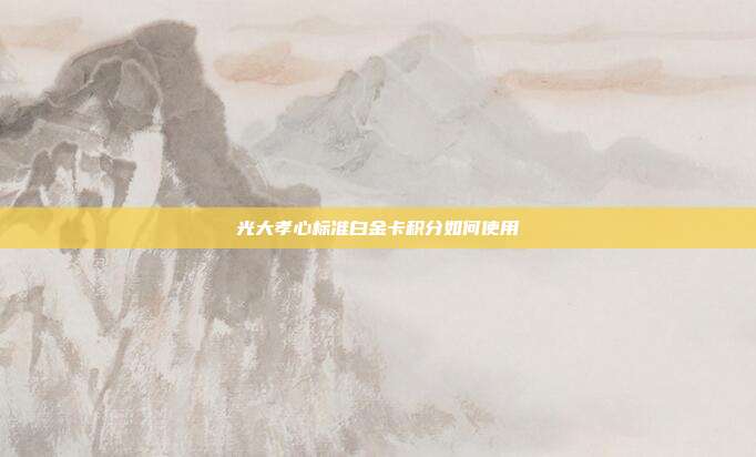 光大孝心标准白金卡积分如何使用