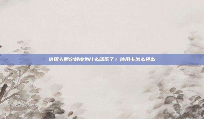 信用卡固定额度为什么降低了?信用卡怎么还款