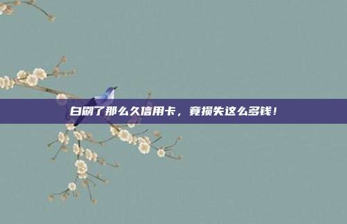 白刷了那么久信用卡,竟损失这么多钱!