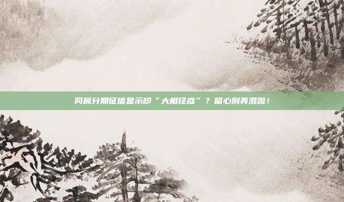 同属分期征信显示却“大相径庭”?留心别弄混啦!