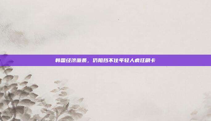韩国经济萧条，仍阻挡不住年轻人疯狂刷卡